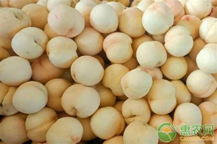 开春桃树可用尿素吗 开春桃树施肥多少合适