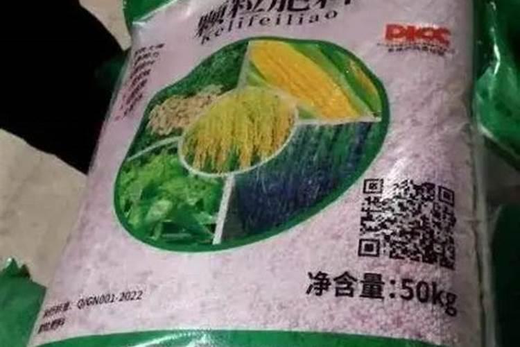 云南蔬菜主产区有哪些？