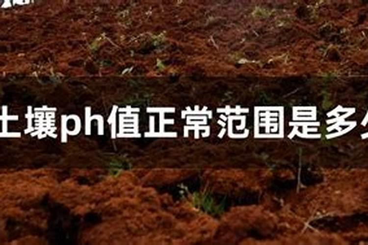 氮肥。磷肥钾肥的作用
