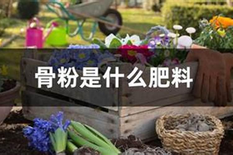 肥料有哪十种类型 农业生产使用的十类肥料大全