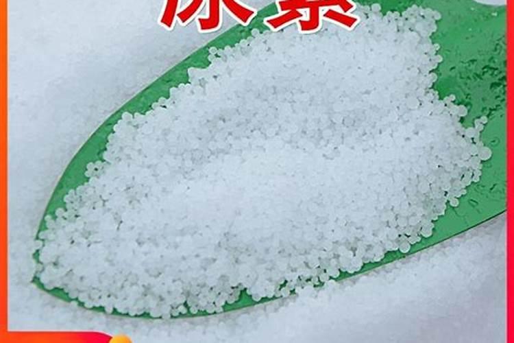 草莓如何防冻越冬