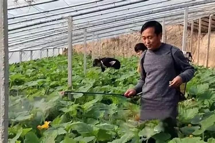 水溶肥排名前十位的有哪些品牌