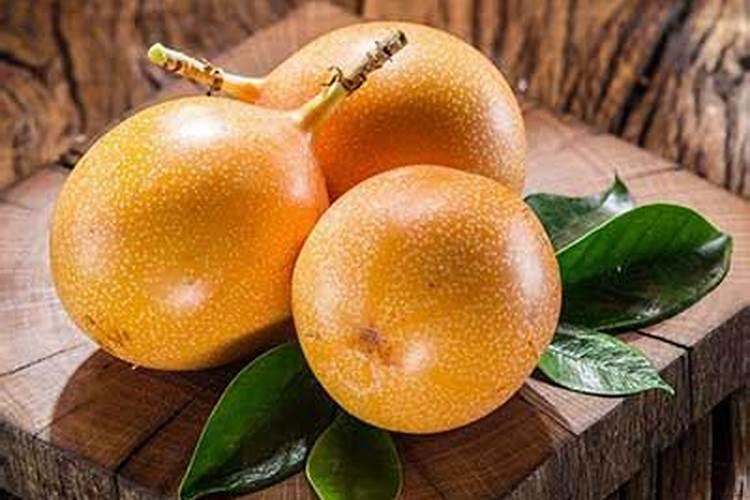 百香果催花时间和方法
