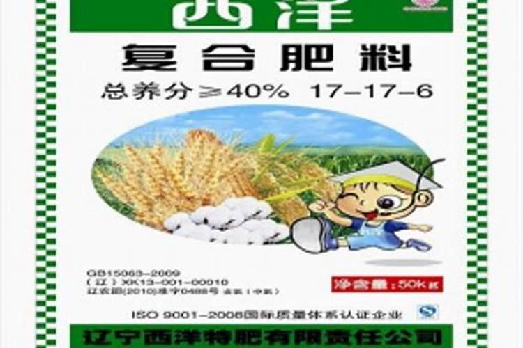 四川大西洋集团有限责任公司怎么样？