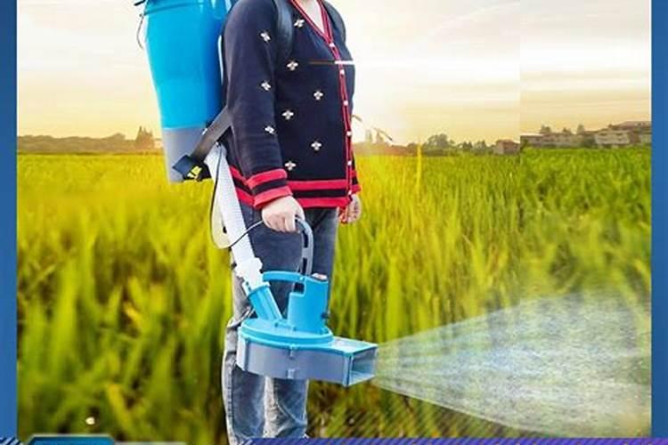 种白菜用什么肥料最好