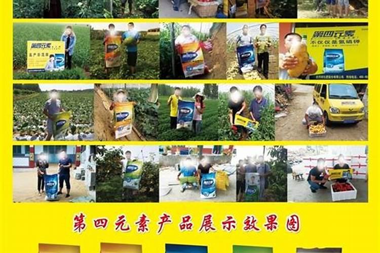 大白菜用什么肥料追肥(上几次肥最好,什么时候用肥)