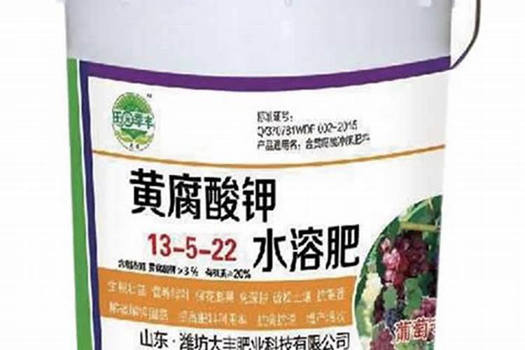 三角梅开花期间怎么施肥？施什么肥？