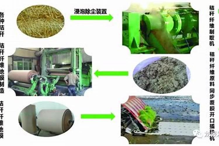 向日葵发芽了我把他头上土为难了他反而没长高却枯萎了这是为什么？百 ...