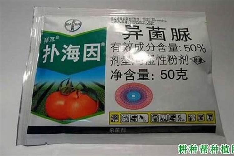 异菌脲的作用和用途