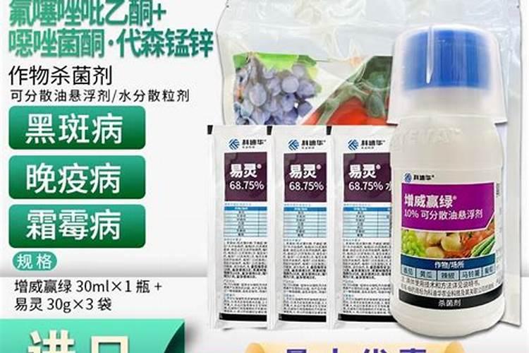 种空心菜用什么肥料好