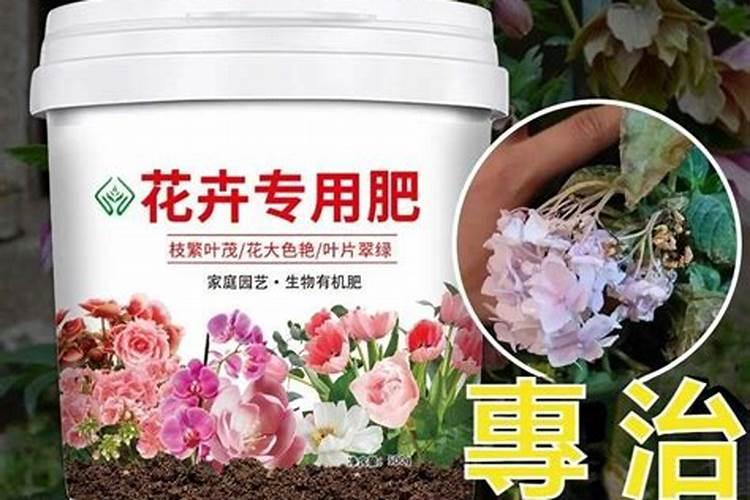 含氮量最高的氮肥是什么