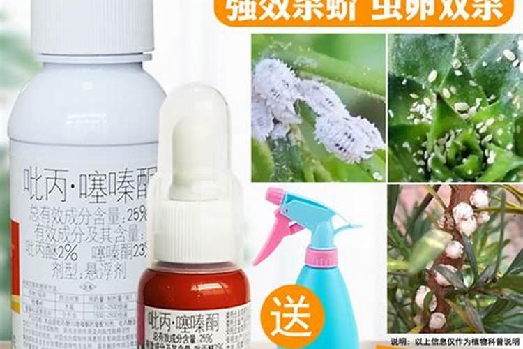 汽车品牌对比:勇士、标致408、智跑