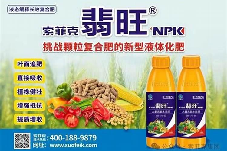 复合肥有哪些