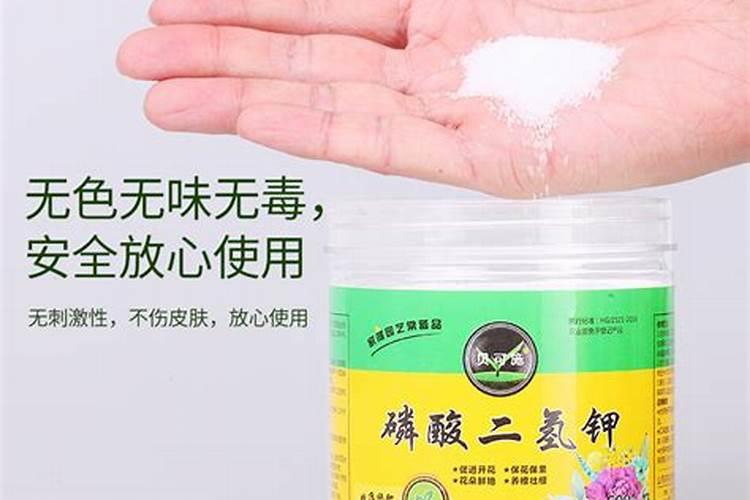 本周次新股