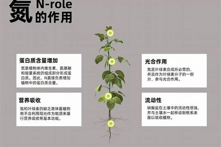 番茄每亩用镁肥多少斤？