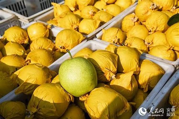 我想开家干洗加盟店,搜网上的干洗品牌太多了,有谁知道哪个干洗品牌靠 ...