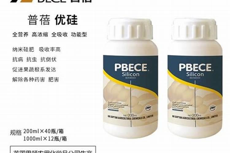 液体硅肥什么时候冲施小番茄好