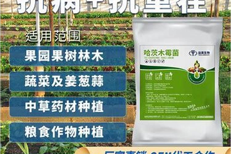 有青苔了可以用磷肥肥水吗
