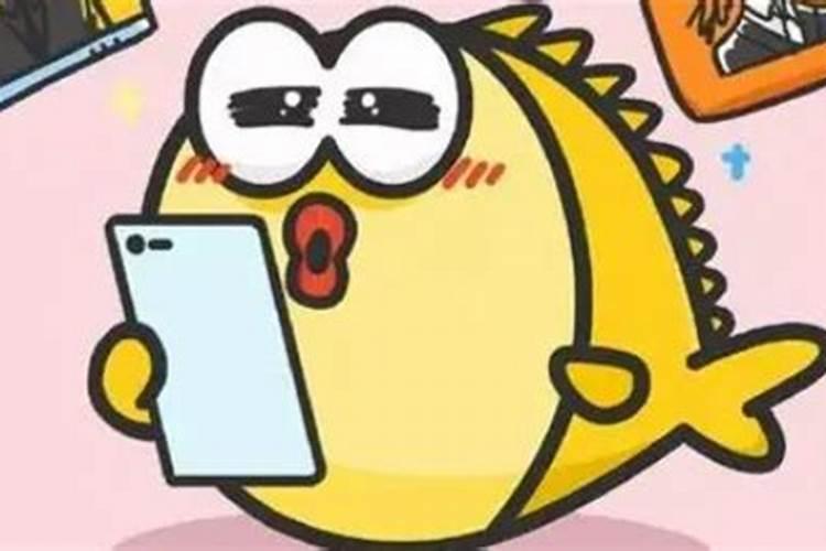 硼肥我国硼肥品种与资源情况