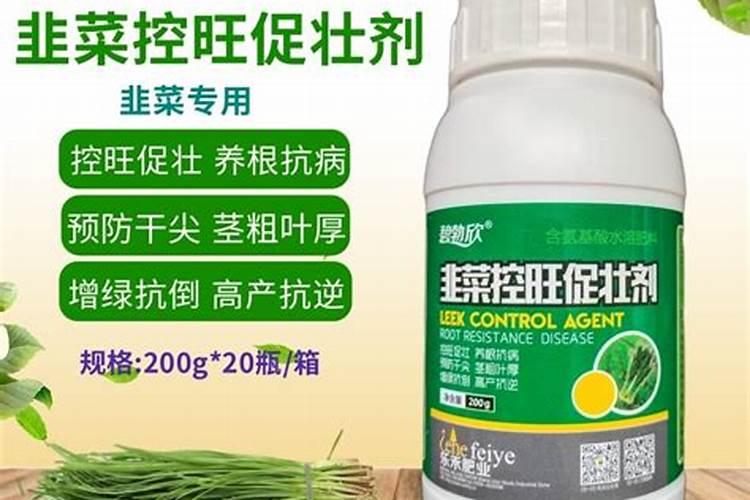 韭菜怎么样养根能让韭菜根变粗