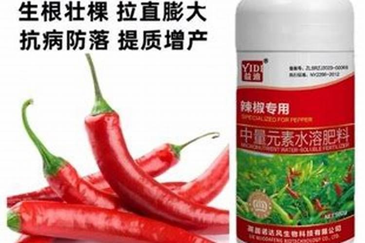 辣椒施什么肥结果多和大