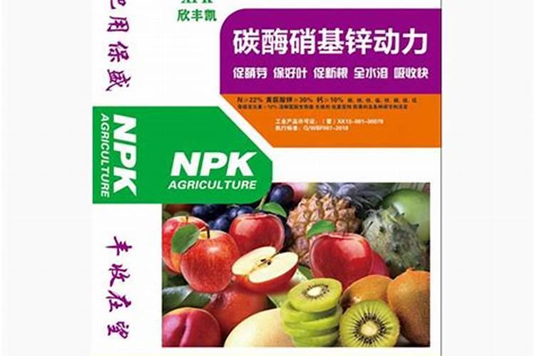 麦地里一种野菜叫什么
