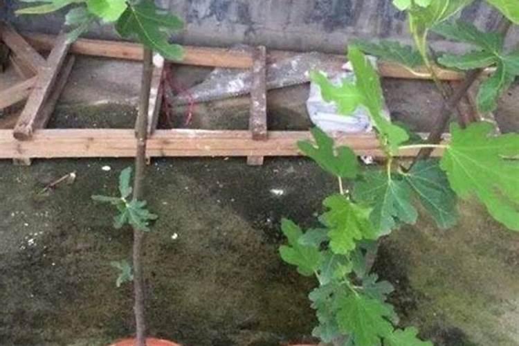 高氮高钾复合肥303030多少钱一吨