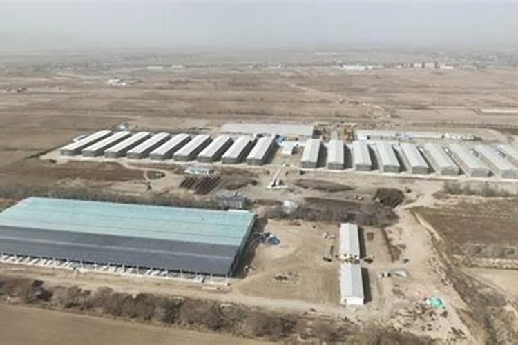 商丘一路公交车早晨几点发车
