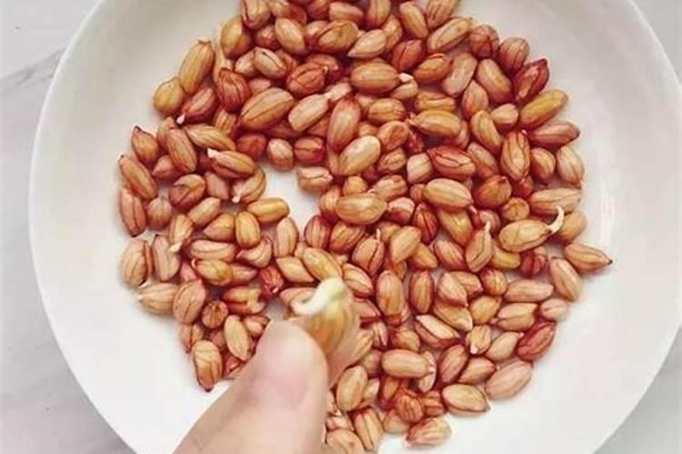 花生需要什么肥料
