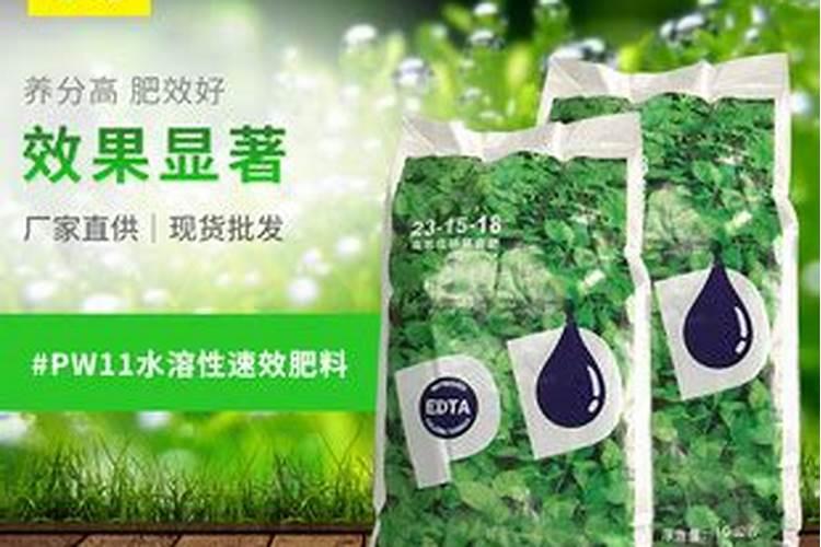 辣椒为什么要补钙？有什么好处？