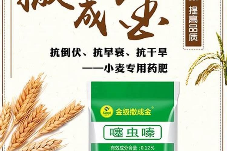 小麦上喷施硼肥有什么好处？拔节孕穗期喷几次,才能籽粒饱满能增产？