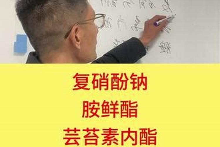 芸苔素内酯和复硝酚钠哪个好(两者有什么区别)