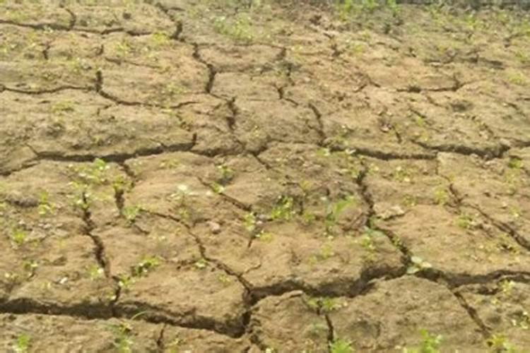下雷雨时可以增加土壤中的什么