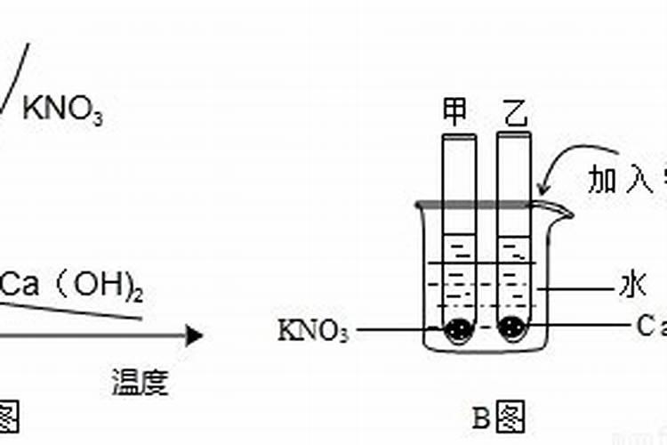 如何分辨化肥种类