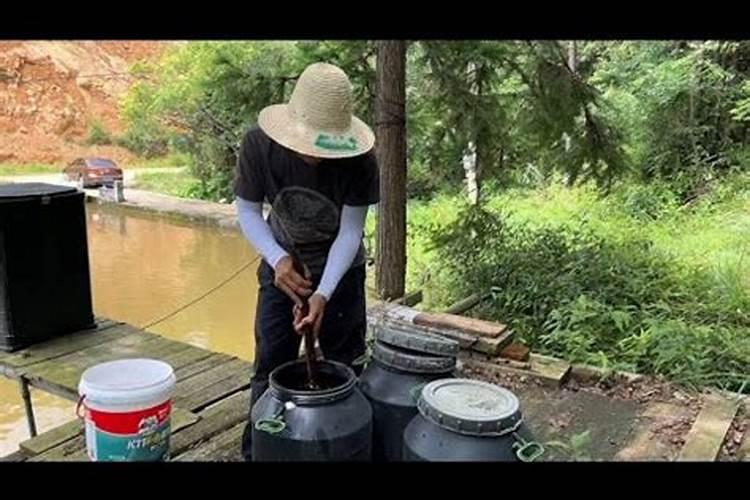 营养土怎么做 营养土的制作方法与使用方法