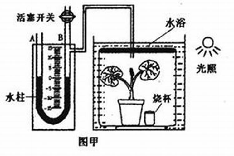 氮肥过多对水稻有什么危害 后期施的氮肥过多怎么处理