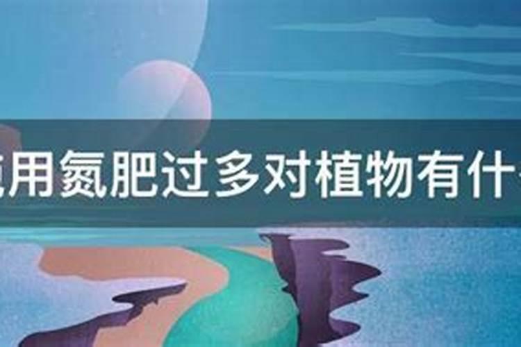 豆角追肥用什么肥料好