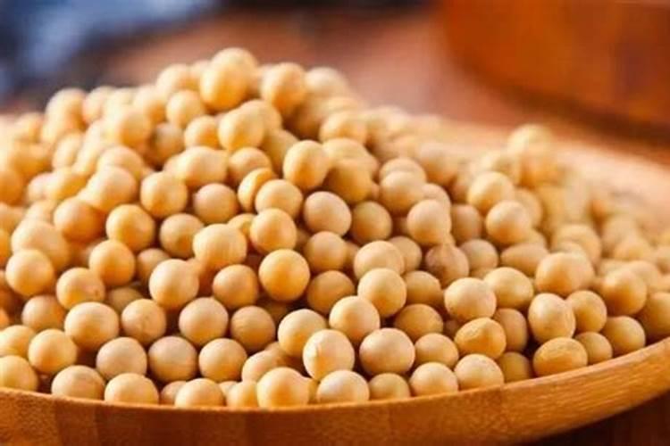 黄豆可以做花的肥料吗