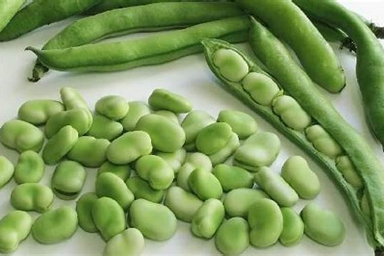 氮磷钾肥料怎么用才能种花