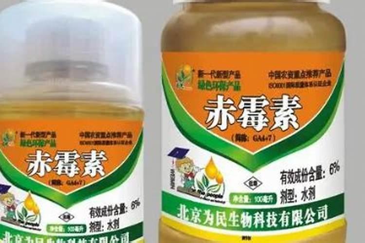 草莓移栽后多久可以施肥