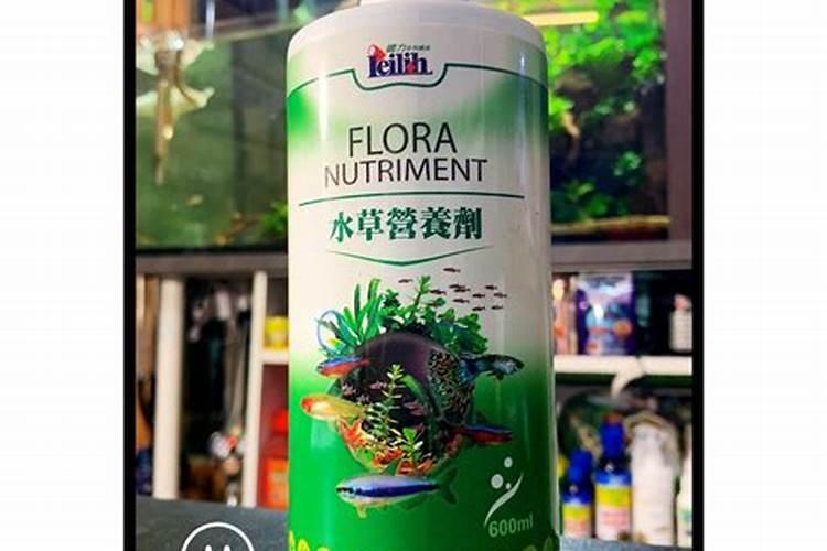 新手养迷你矮珍珠水草怎么养 水草修剪之后怎么处理？