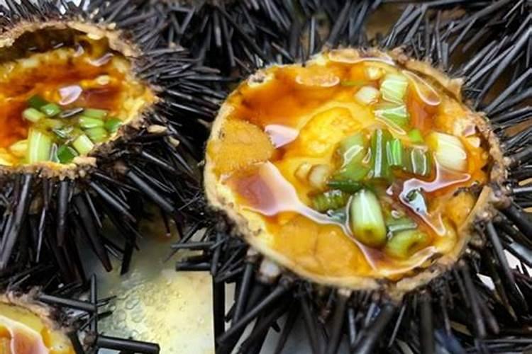 海胆是什么东西？海胆是动物还是植物？