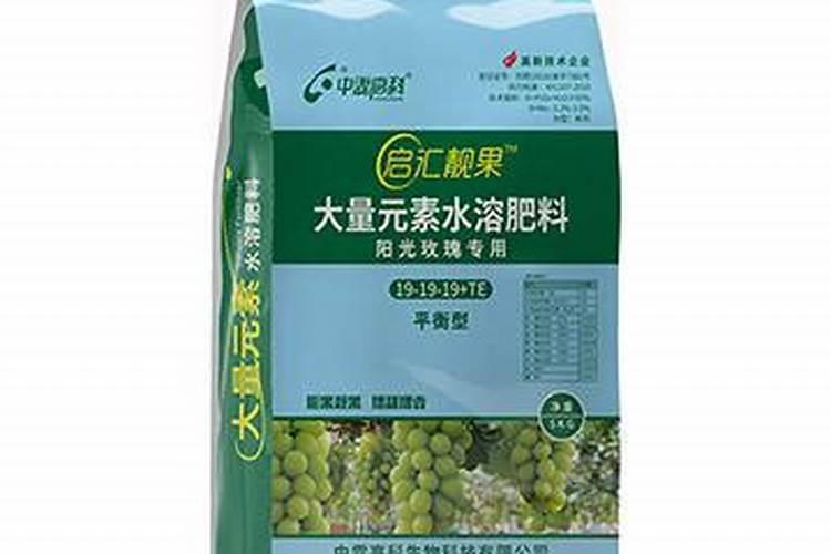 大蒜膨大期用什么肥料