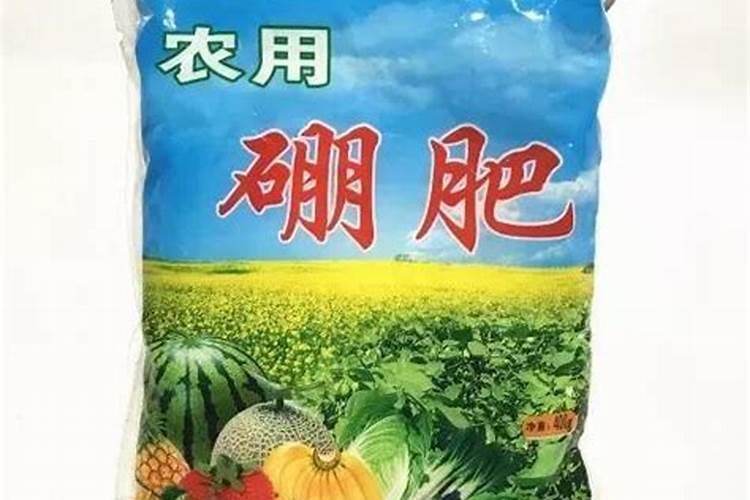 西红柿黄叶病的原因及治疗处理方法