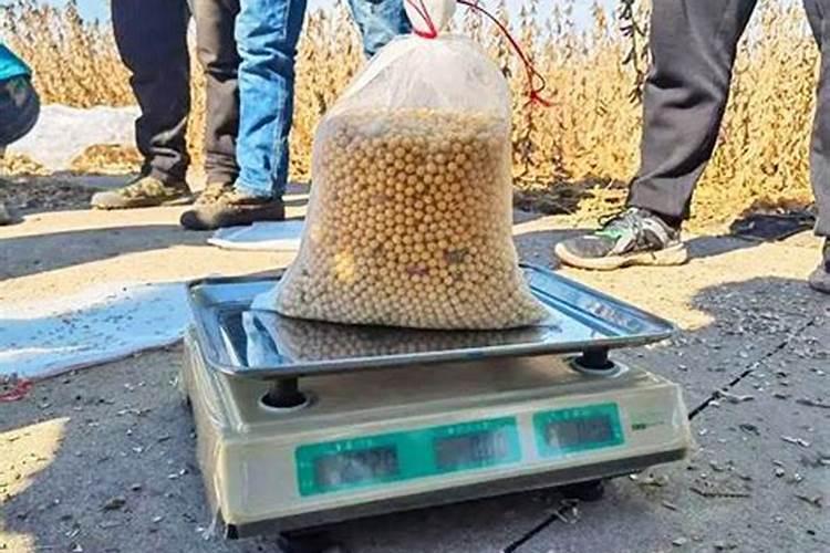 种植大豆需要上多少肥都上什么肥