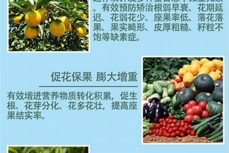 高钾肥有哪些？甜瓜在盛果期冲施高钾肥好不好呢？