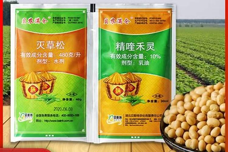 芸苔素使用技巧