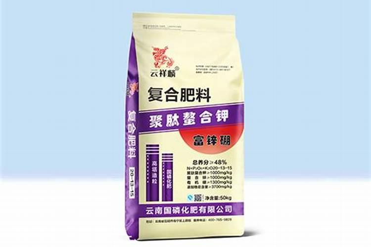 罗汉松会开花吗,罗汉松开花三年一开