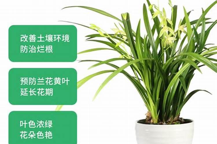 健力多氨糖软骨素钙片什么人不能吃
