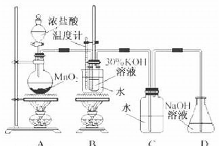 龙眼树怎样种